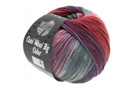 Cool Wool Big Color 4004